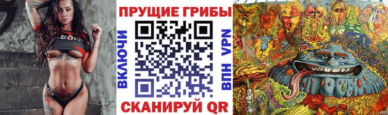 Псилоцибиновые грибы мухоморы  купить наркоту  blacksprut сайт  Лабытнанги 